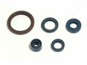 Satz Dichtringe Motor Husqvarna TC / TE