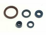 Satz Dichtringe Motor Husqvarna TC / TE