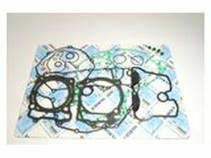 Dichtungssatz komplett RMZ450