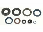 Satz Dichtringe Motor EXC 250 / 300