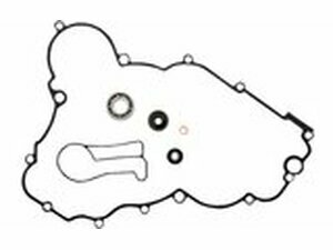 Dichtungssatz Wasserpumpe EXC 250 / 300