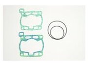 Dichtungssatz top end RM 125