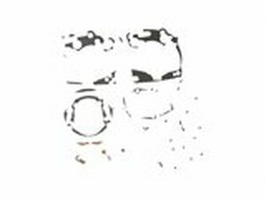 Dichtungssatz top end KX 125