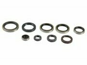 Satz Dichtringe Motor EXC 250 / TE 300