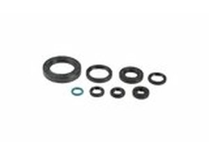 Satz Dichtringe Motor Honda CR 250