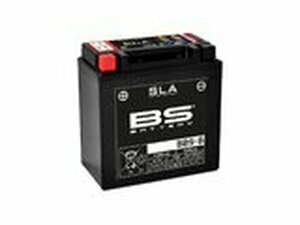 Batterie BS Battery SLA BB9-B 12V - 9,5Ah