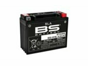 Batterie SLA BS Battery 12V - 22,1Ah