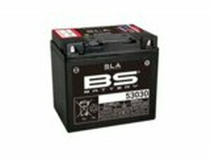 Batterie SLA BS Battery 12V - 31,6Ah