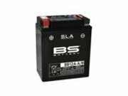 Batterie SLA BS Battery BB12A-A/B 12V - 12,6Ah