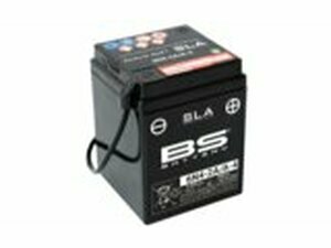 Batterie SLA BS Battery 6N4-2A/A-4 6V 4,2Ah