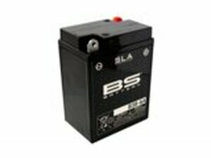 Batterie SLA BS Battery B38-6A 6V - 13,7Ah