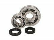 Kurbelwellenlager Satz Piaggio 50-100cc 4T