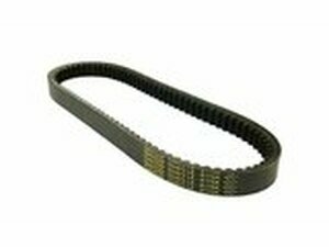 Keilriemen Dayco Power Plus Majesty / Leonardo / Velvet /...