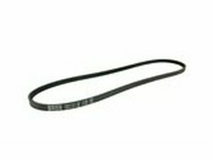 Keilriemen Dayco Piaggio / Vespa SI