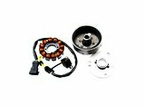 Lichtmaschine (Modelle ohne E-Starter) Derbi Euro 3 / 4