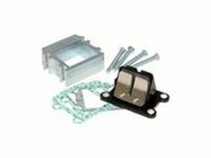 Big Valve Einlasskit Easyboost Minarelli stehend