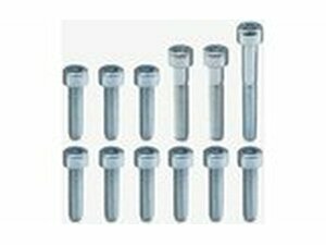 Schraubensatz Variodeckel verzinkter Stahl Minarelli