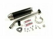 Endschalldmpfer Giannelli Enduro Derbi DRD Pro SM 2006...