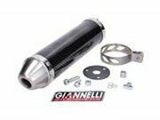 Endschalldmpfer Giannelli Street Carbon Aprilia RS /...