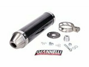 Endschalldmpfer Giannelli Street Carbon Yamaha TZR 50...