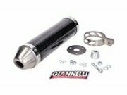 Endschalldmpfer Giannelli Street Carbon Yamaha TZR 50...