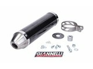 Endschalldmpfer Giannelli Street Carbon Aprilia RS 125...