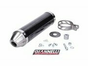Endschalldmpfer Giannelli Street Carbon Aprilia RS 125...