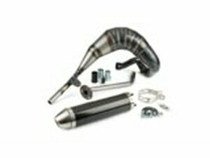 Auspuff mit ESD carbon Giannelli Enduro Beta RR 2012 - 2016