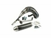 Auspuff mit ESD carbon Giannelli Enduro Beta RR 2012 - 2016