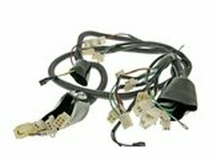 Kabelbaum GY6, Jinlun Fighter 50