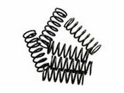 Kupplungsfedern Satz Hinson CRF 450