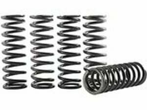 Kupplungsfedern Satz Hinson CRF 250