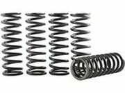 Kupplungsfedern Satz Hinson CRF 250