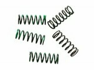 Kupplungsfedern Satz Hinson KXF / RMZ