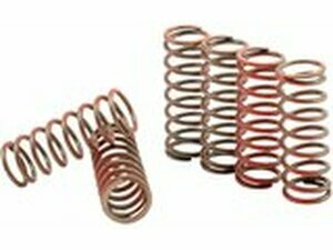 Kupplungsfedern Satz Hinson YZF 450