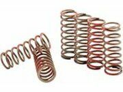 Kupplungsfedern Satz Hinson YZF 450