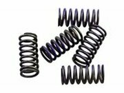 Kupplungsfedern Satz Hinson YZF / WRF 250