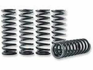 Kupplungsfedern Satz Hinson KXF 450