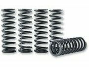 Kupplungsfedern Satz Hinson KXF 450