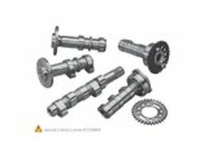 Auslassnockenwelle Stage 1 Hot Cams KXF 450 2009-2015