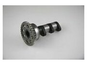 Nockenwelle Auslass Hot Cams Stage 2 KTM