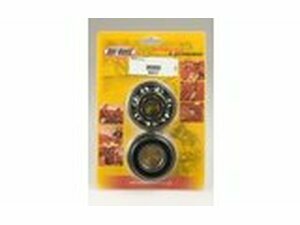 Kurbelwellenlager und Wellendichtringe Hot Rods YZ 250 1999-2000