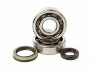 Kurbelwellenlager und Wellendichtringe Hot Rods RM 125...