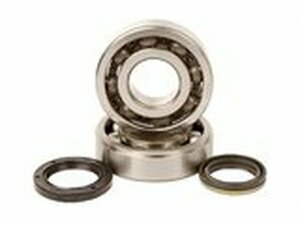 Kurbelwellenlager und Wellendichtringe Hot Rods Suzuki RM-Z 450