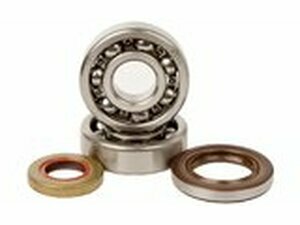 Kurbelwellenlager und Wellendichtringe Hot Rods SX / TC 65