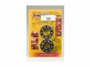 Kurbelwellenlager und Wellendichtringe Hot Rods KXF 250...