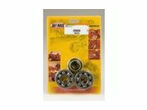 Kurbelwellenlager und Wellendichtringe Hot Rods RM 85