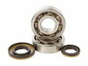 Kurbelwellenlager und Wellendichtringe Hot Rods RM 250...