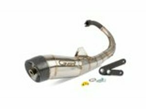 Auspuff LeoVince GP Evo 3 Minarelli stehend