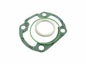 Dichtsatz Malossi Kymco